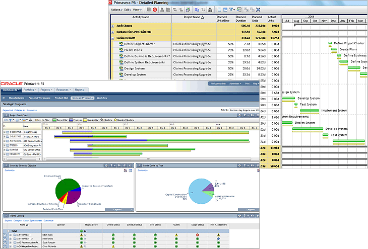 oracle-primavera-p6-enterprise-project