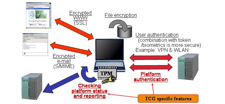 www.tabletpcreview.com
